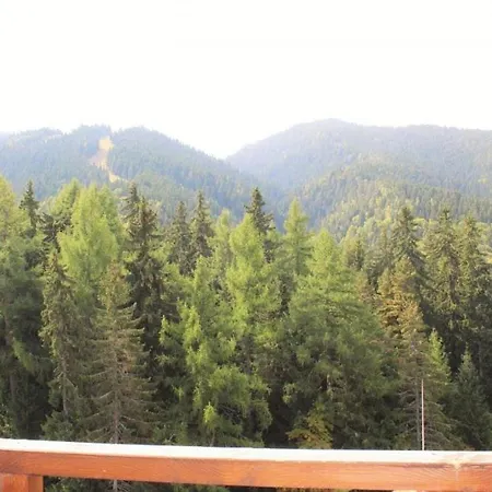 Mountain View Hills A60 Apartament Boroveț